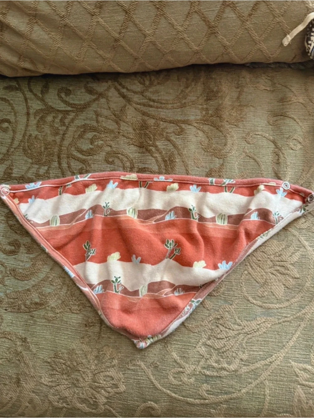 kate quinn soft coral