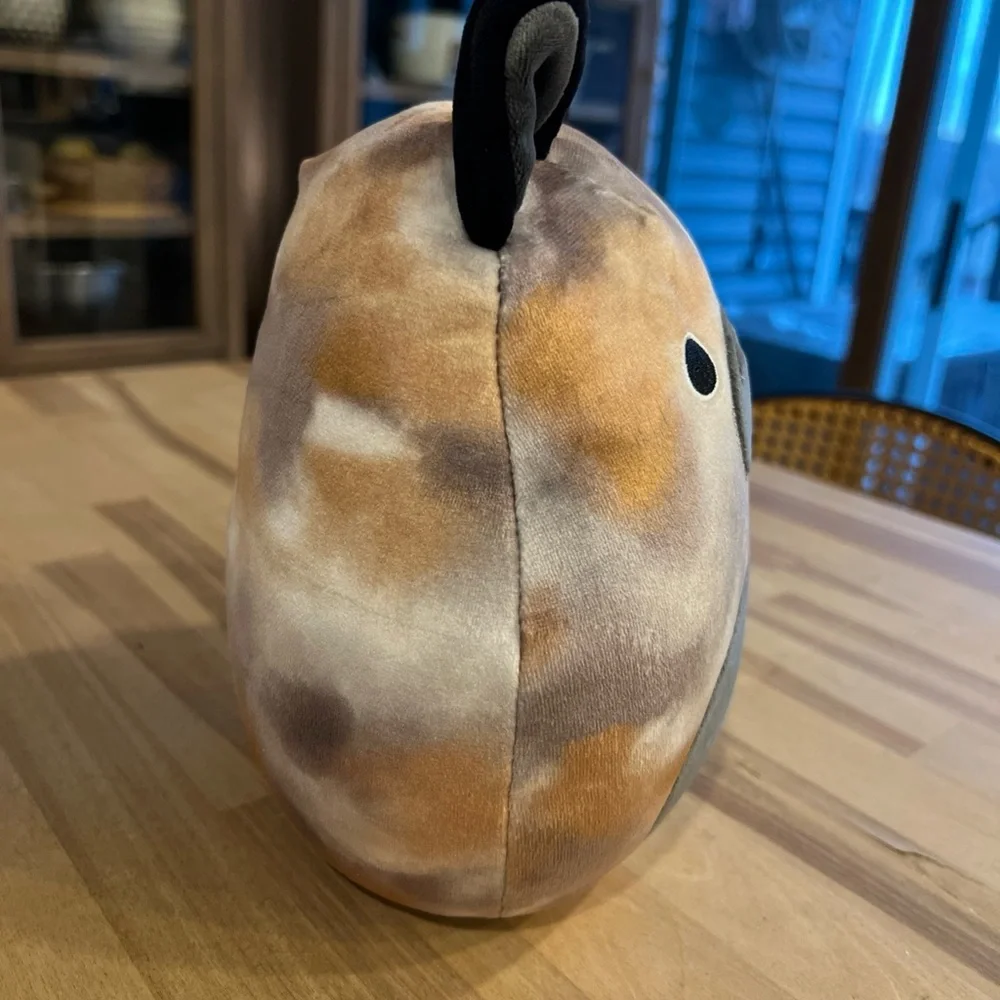 Squishmallows ballis features