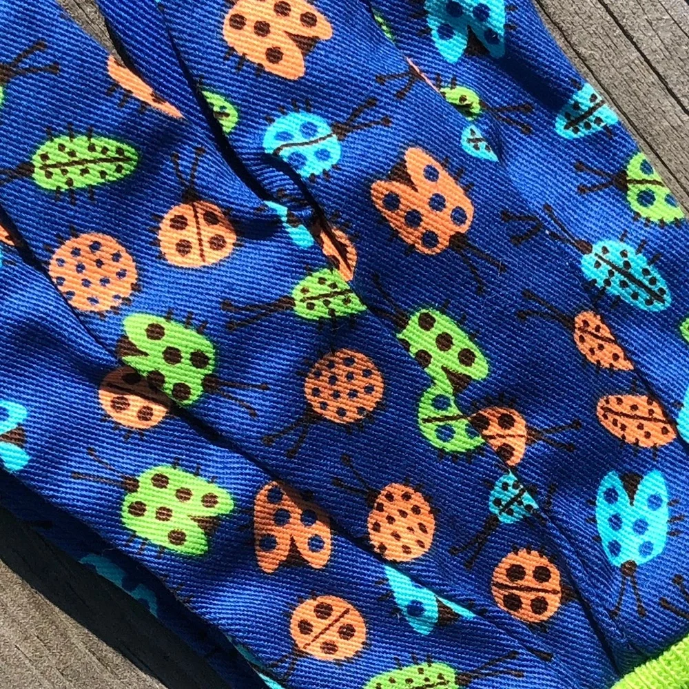 N/A blue bug