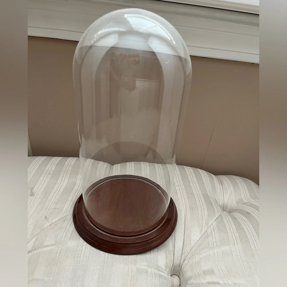 Glass Cloche/ doom with Wooden Base