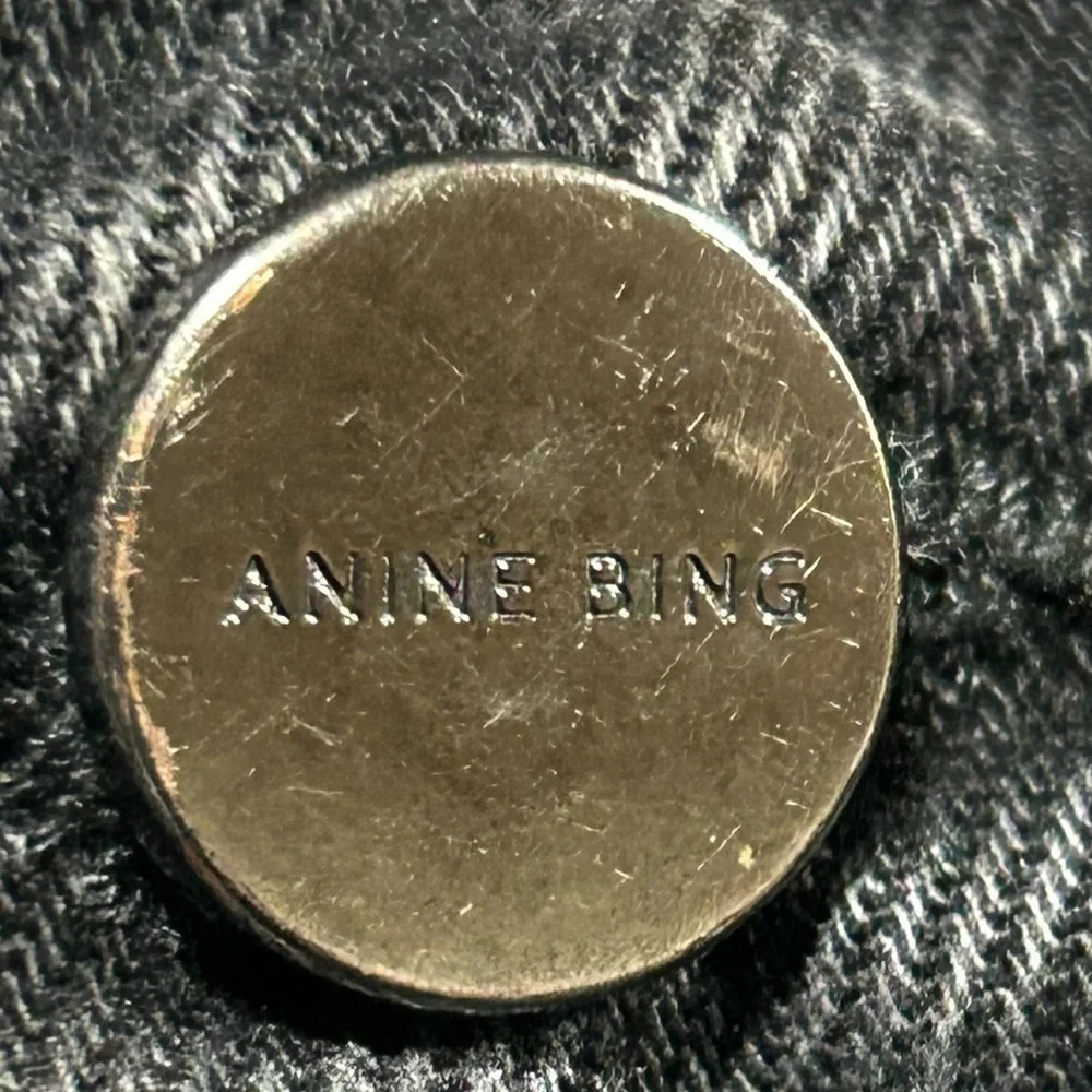 Anine Bing approximate flat jeans