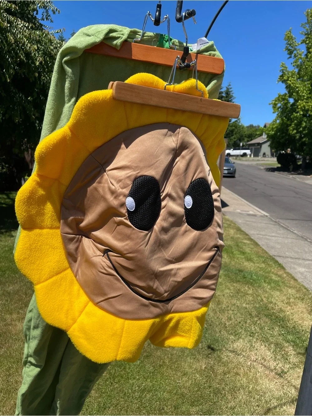 Fun Costumes clean medium