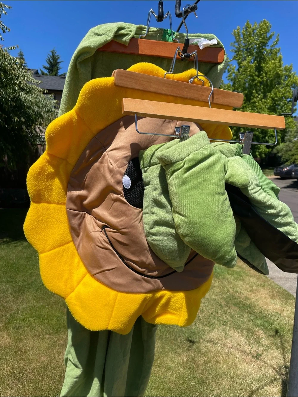 Fun Costumes worn home
