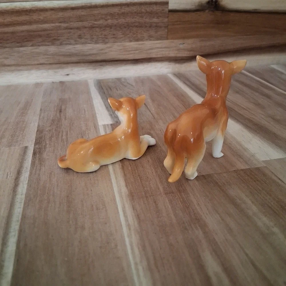 N/A dogs dog