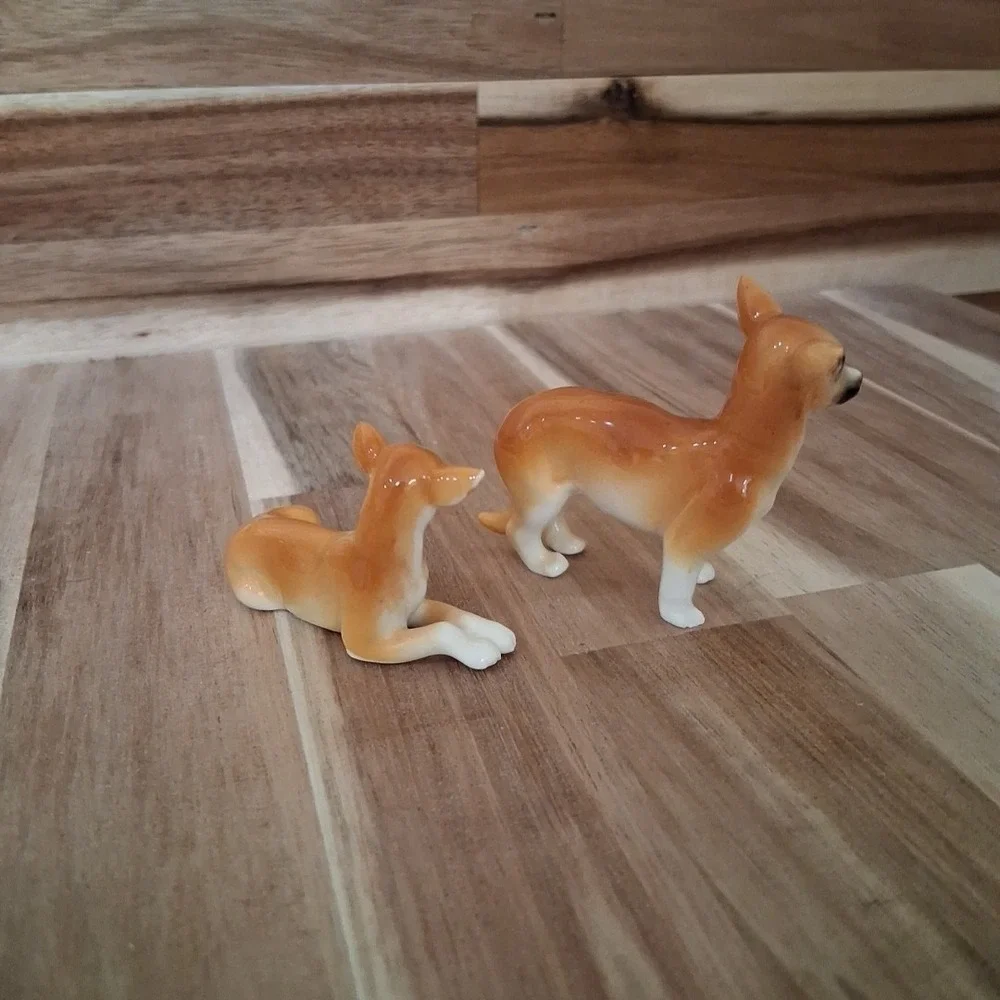 N/A one dog