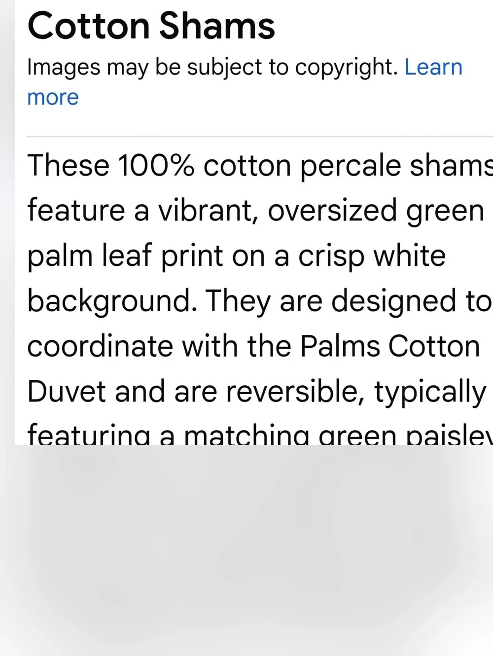 Grandinroad palms duvet