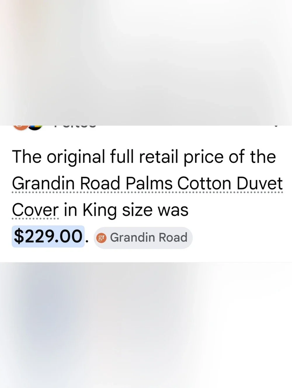 Grandinroad palms duvet