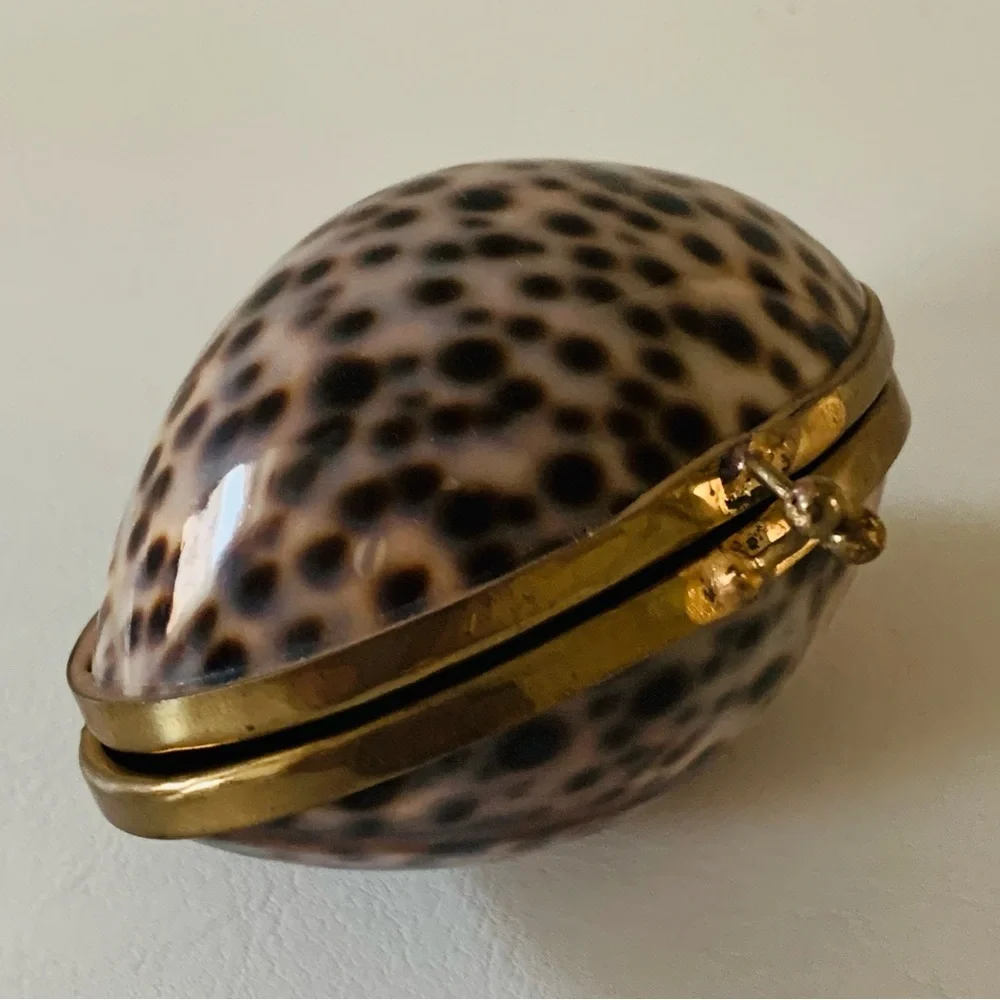 Shell trinket box with brass rim