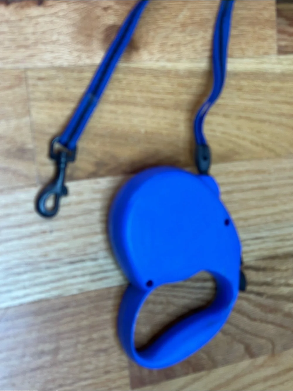 N/A leash black blue