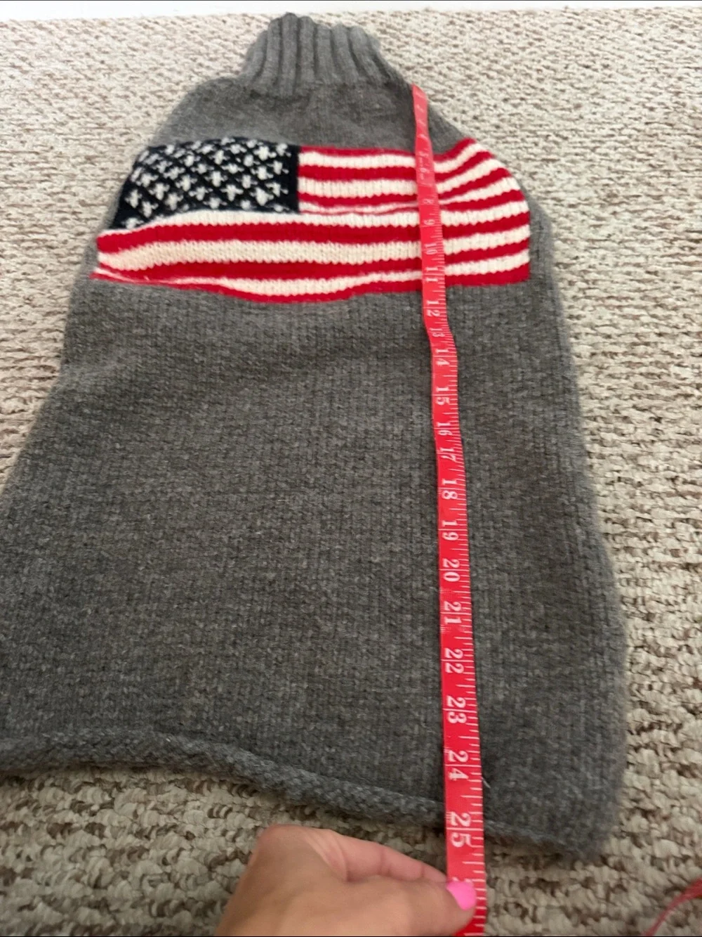 chilly dog outdoors wash