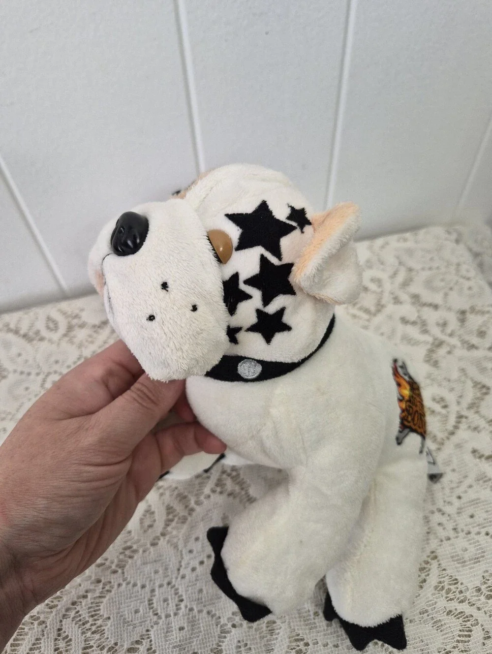 webkinz rad bone