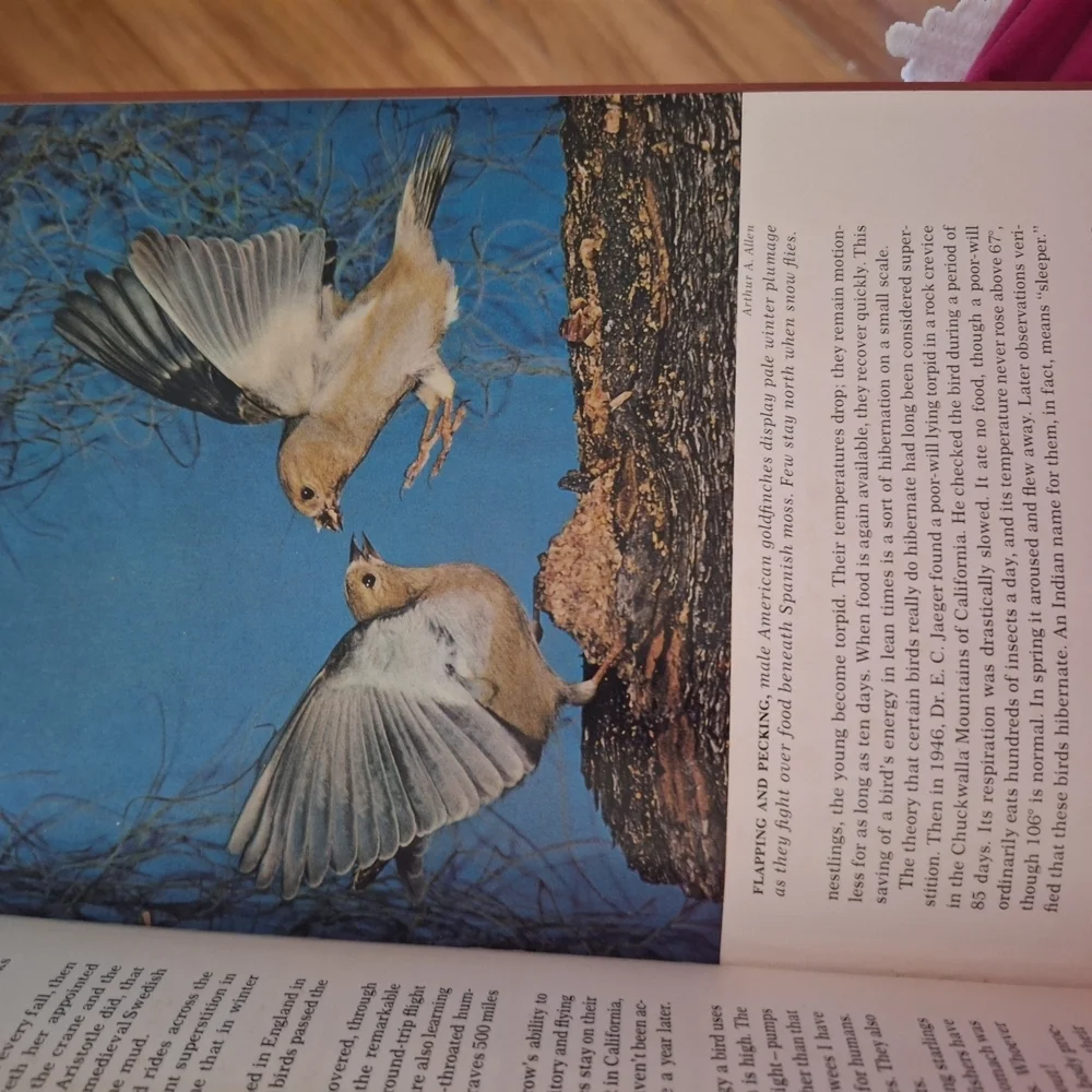 National Geographic originally which