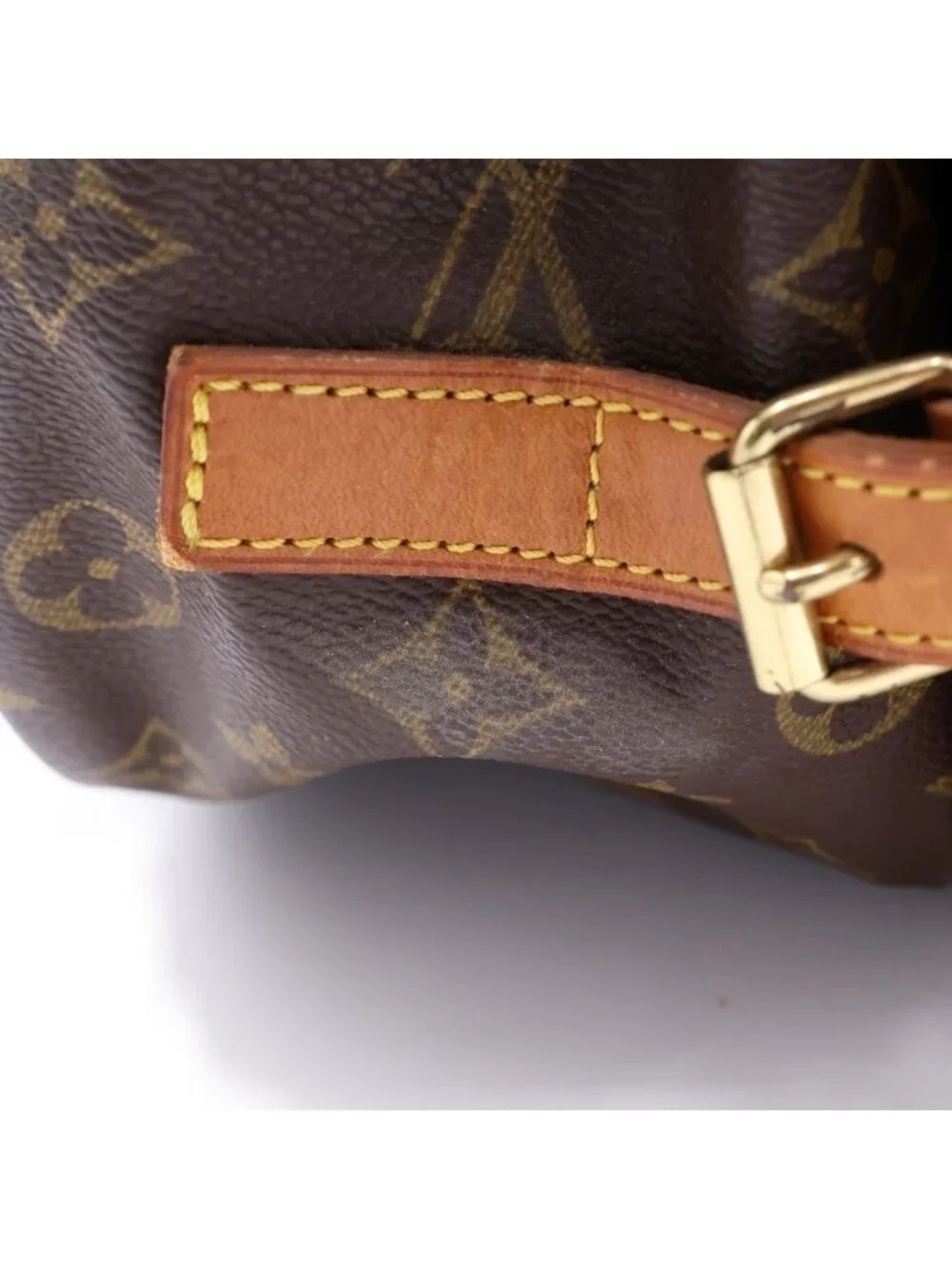 Louis Vuitton stains stored item
