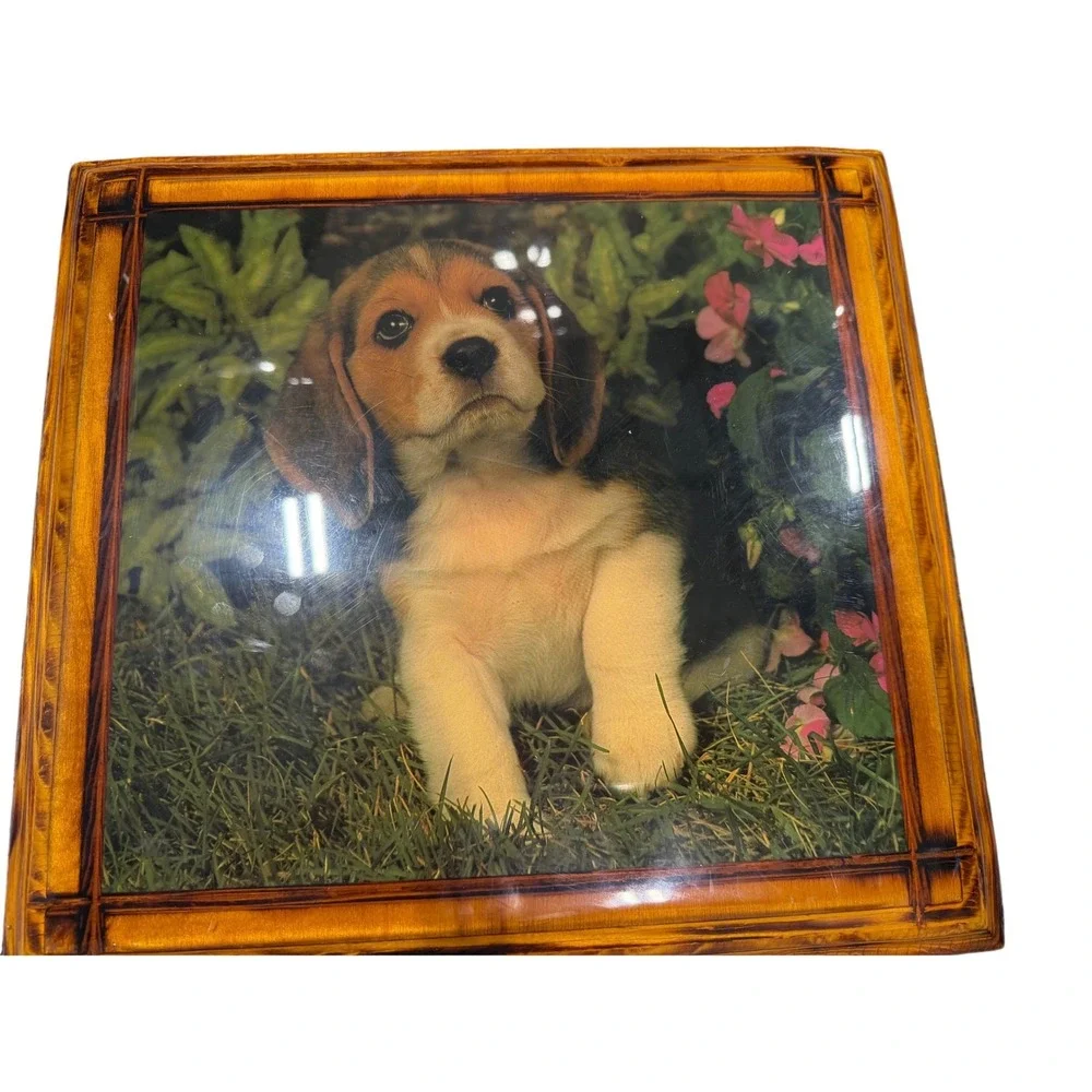 Cal Moore Handcrafted Beagle Puppy Dog Wooden Wall Plaque Glossy Resin Finish
