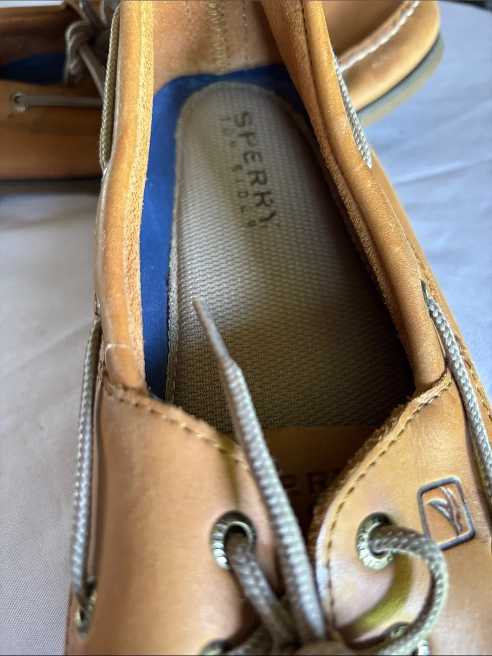 Sperry two instead
