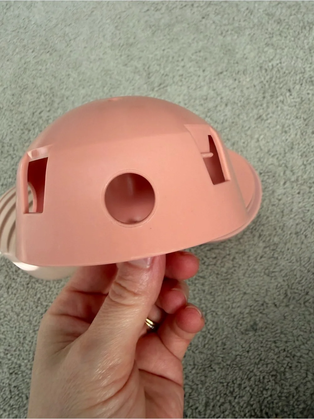 Fable Pets this blush