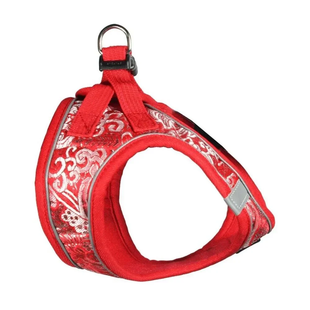 Hip Doggie/Dog Star mesh sport