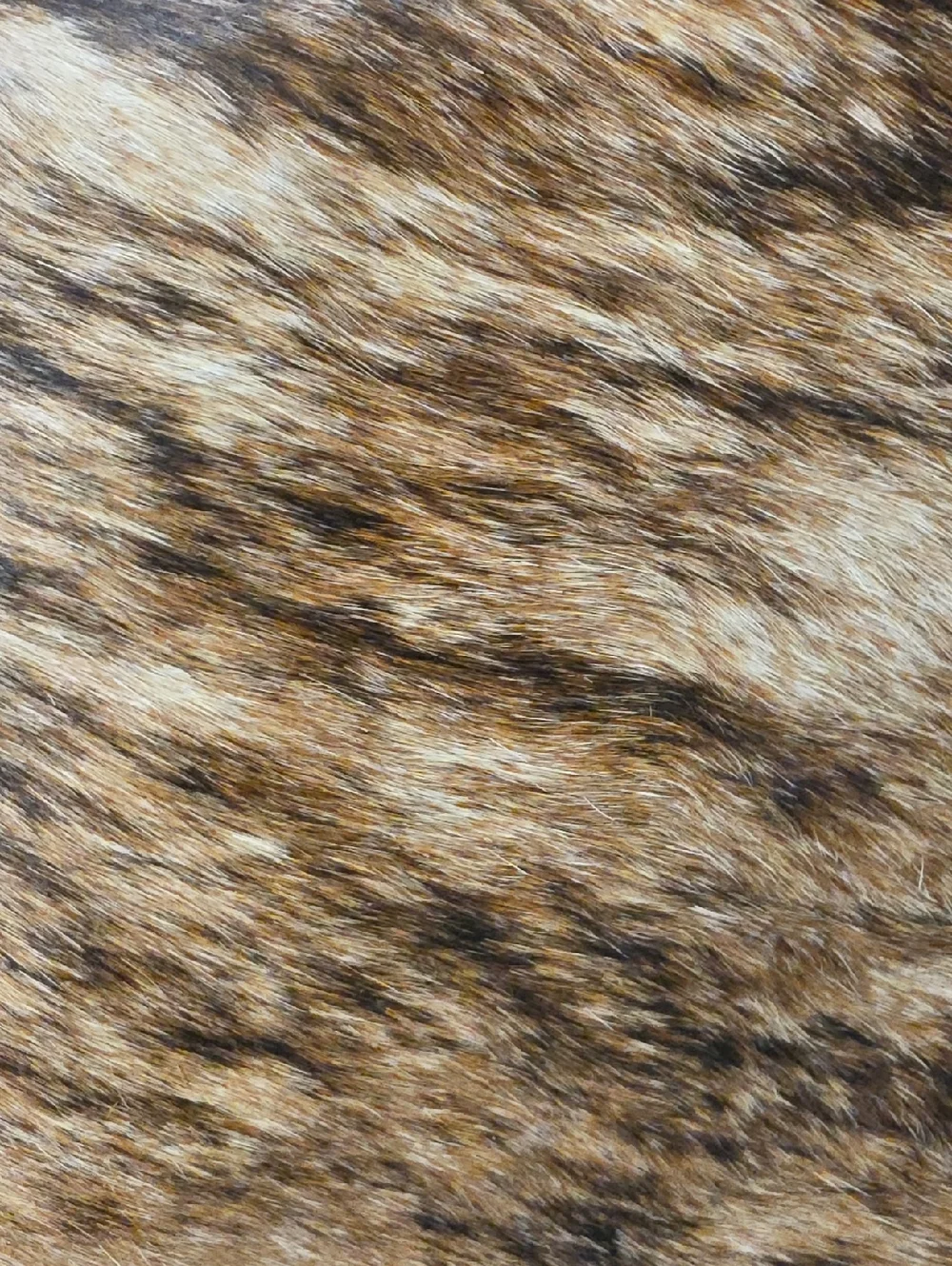 cowhide couture cowhide photos