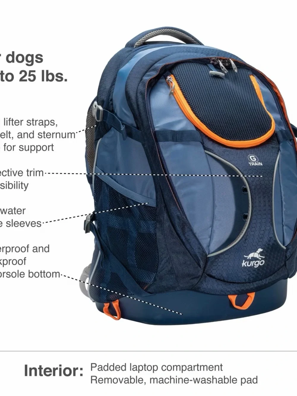 Kurgo train dog