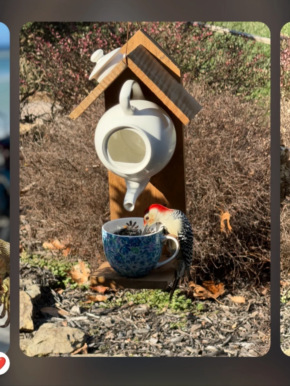 N/A wall teapot wooden