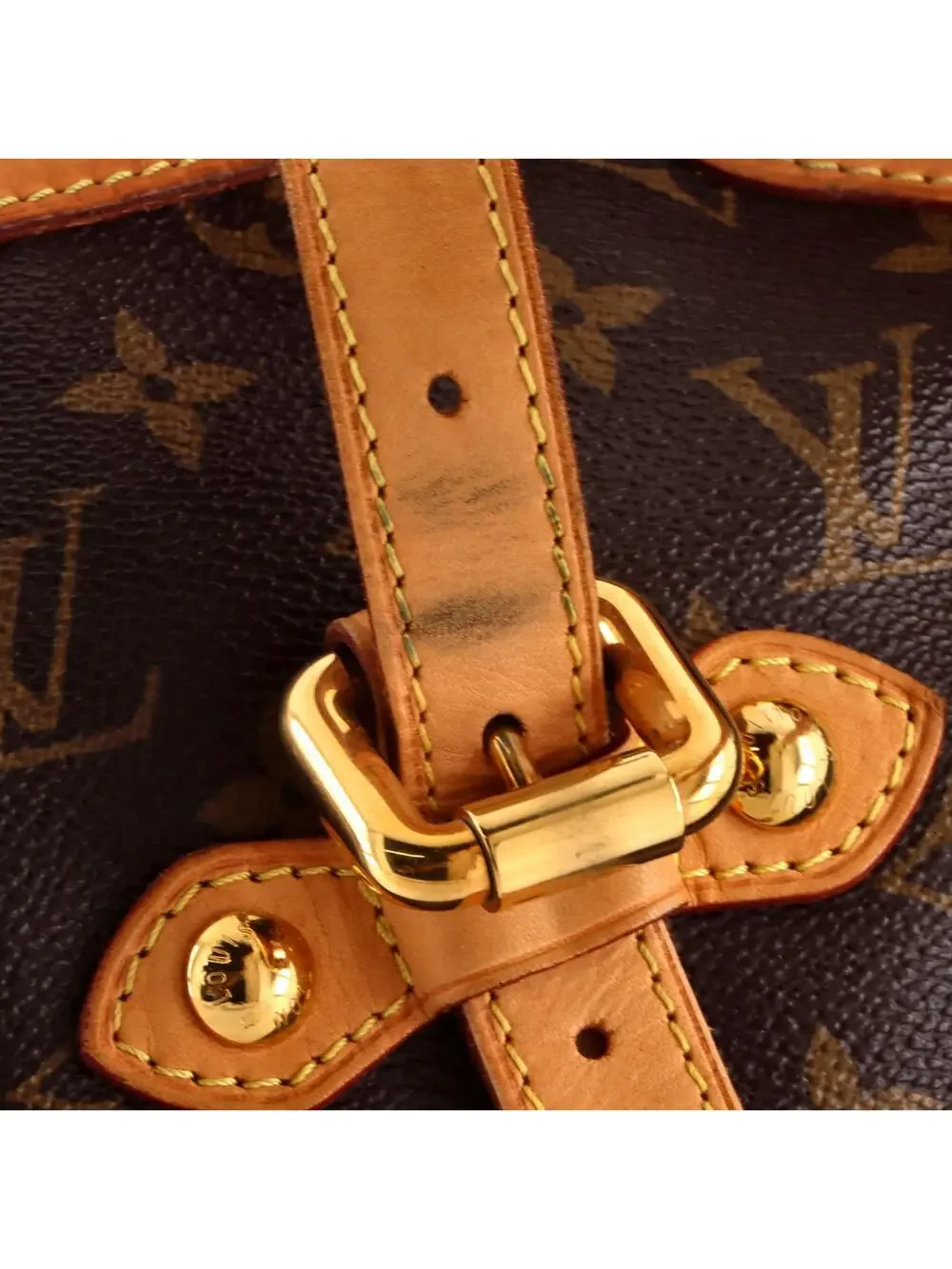 Louis Vuitton exudes ideal both