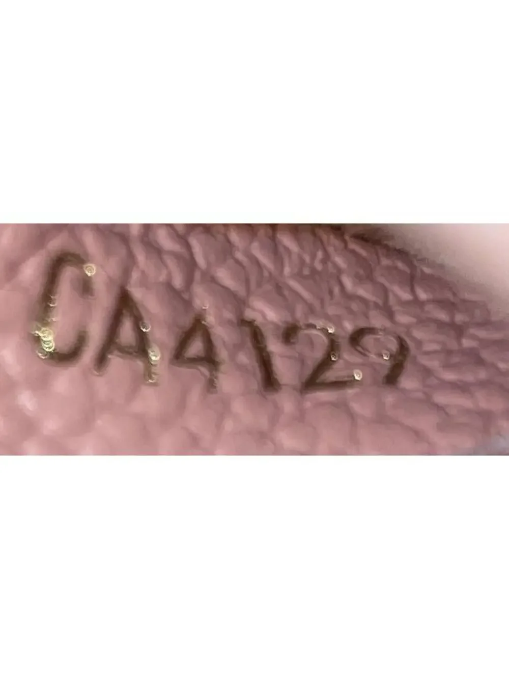 Louis Vuitton wear while complement