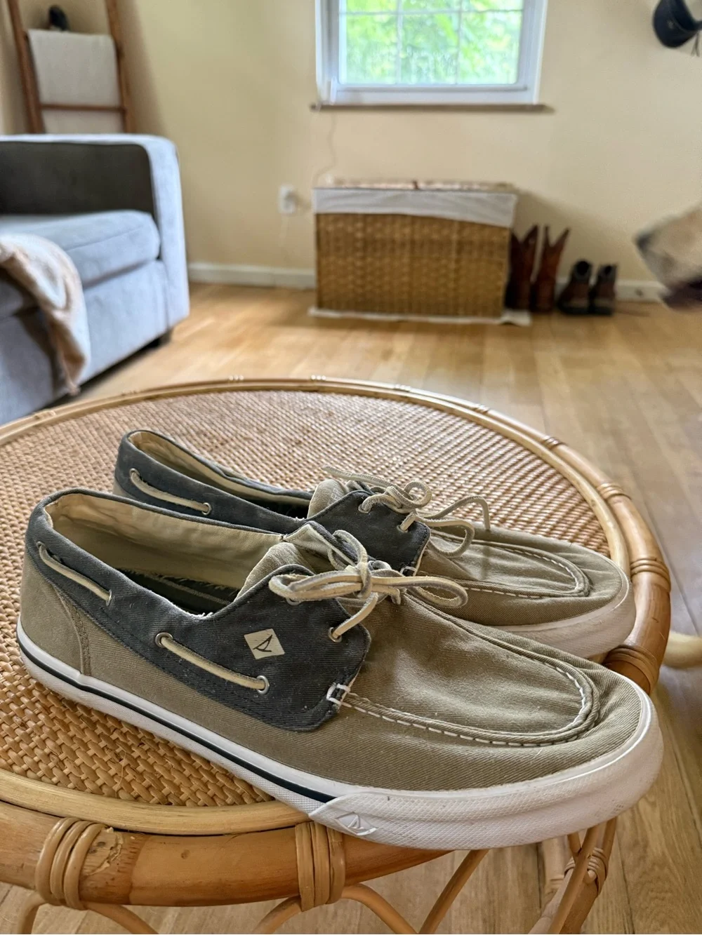 Sperry casual canvas