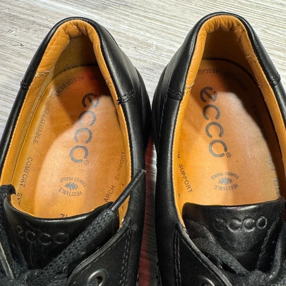 Ecco consider these