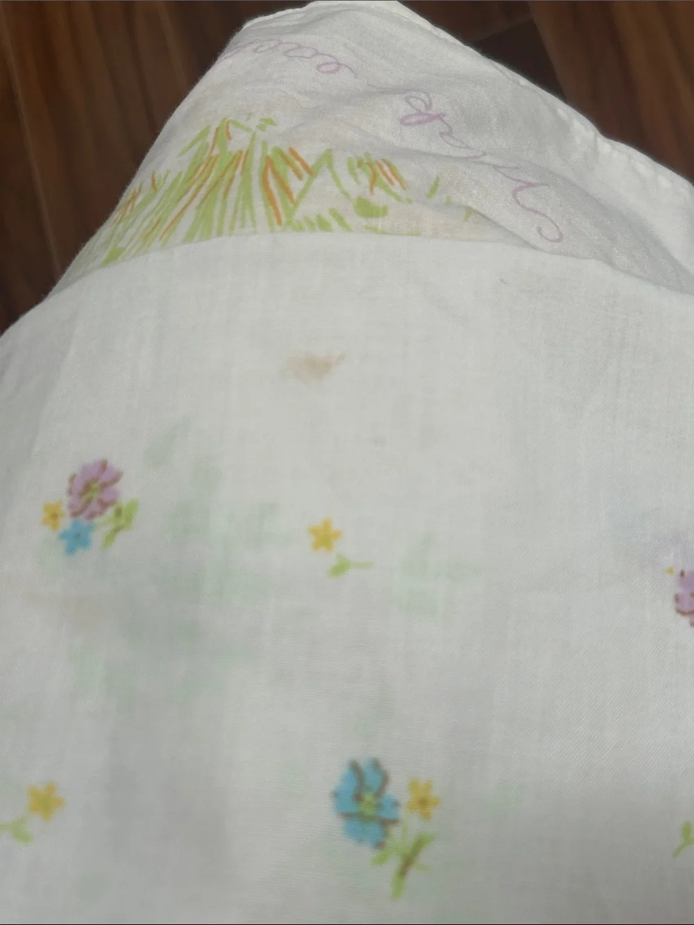 Holly Hobbie includes one