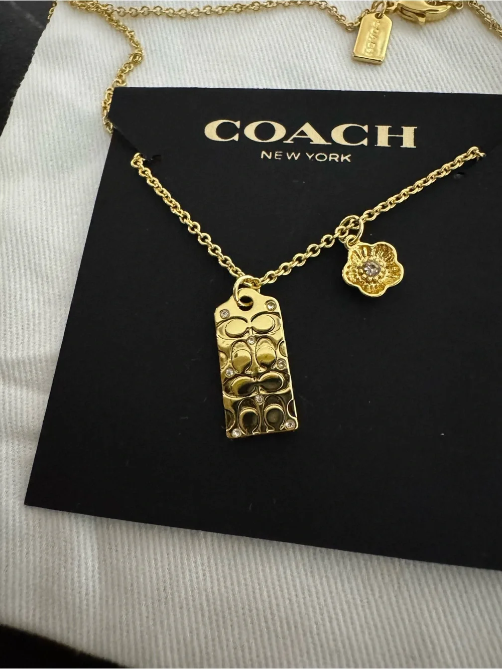 Coach pouch special wear
