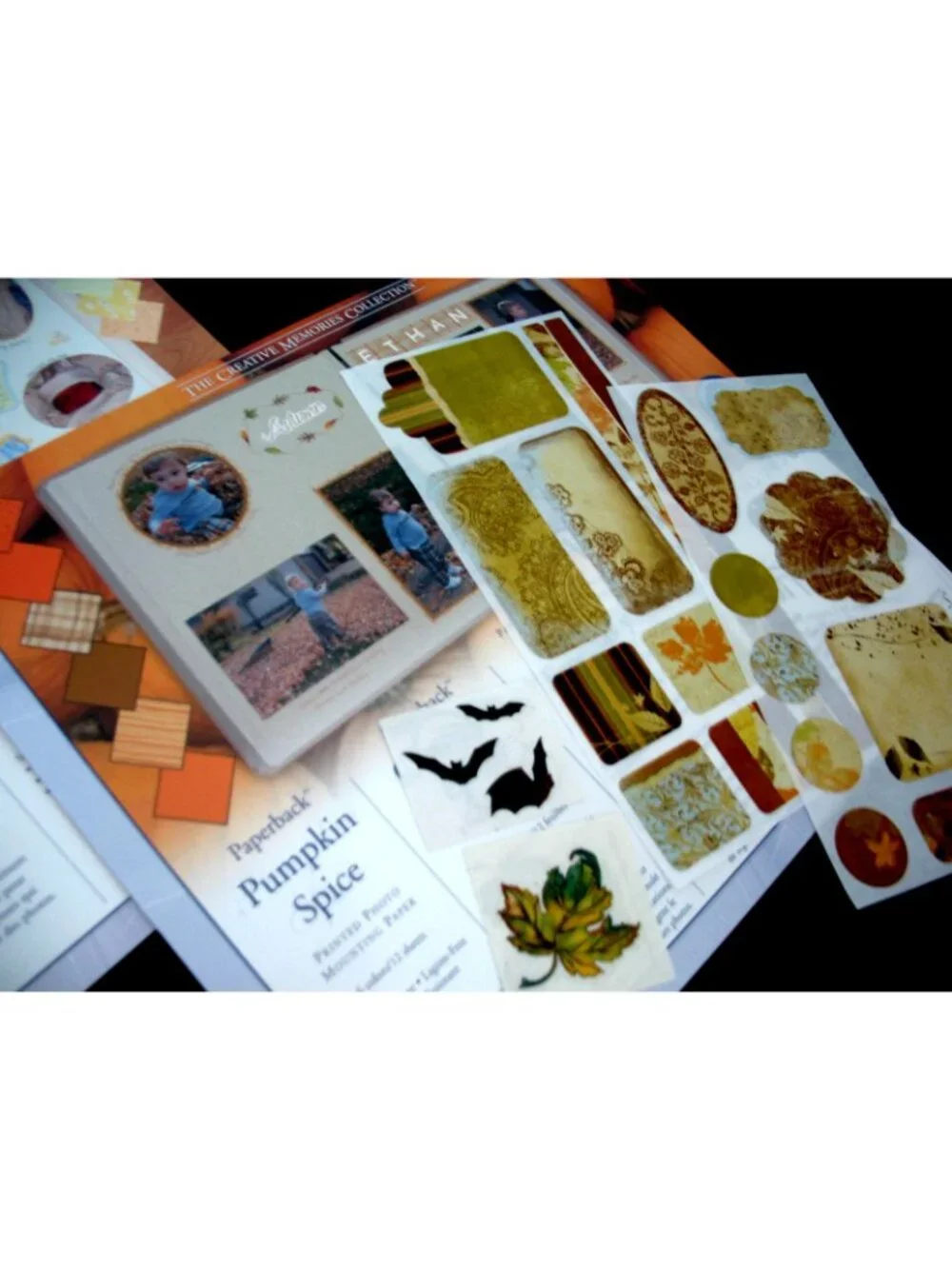 Creative Memories lot paper