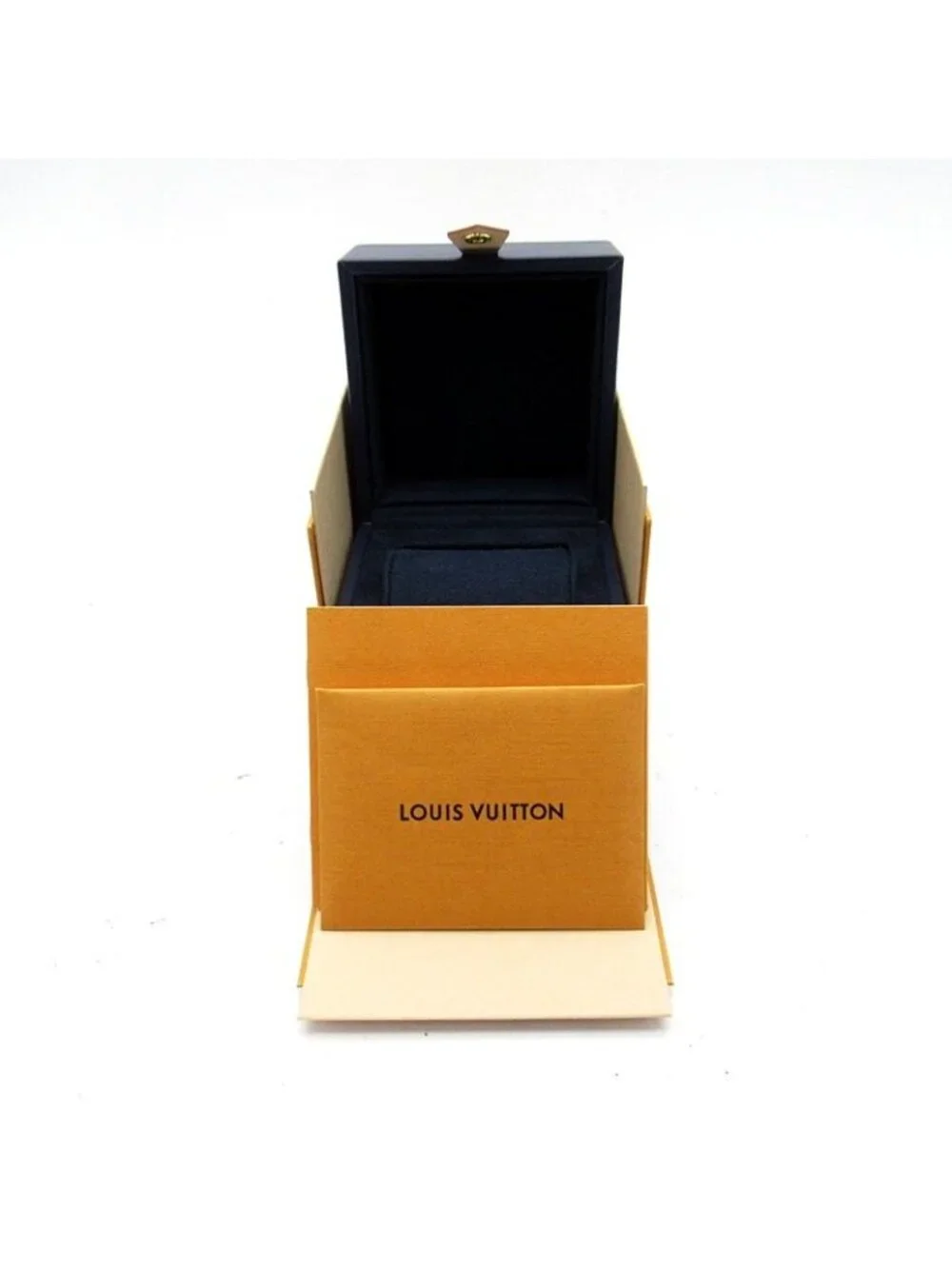 Louis Vuitton brand louis