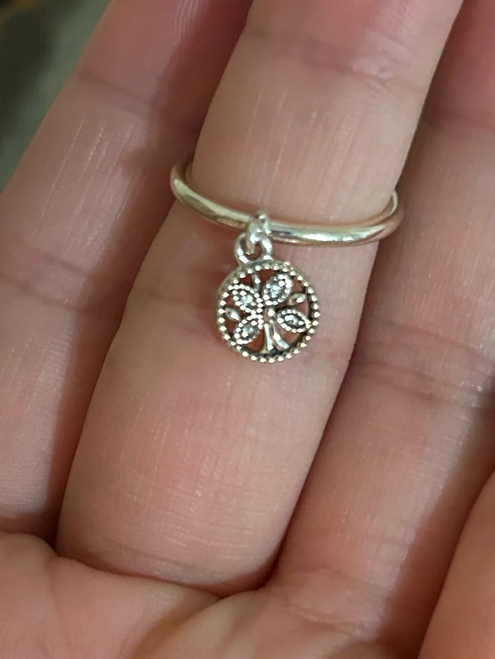 Pandora brand new