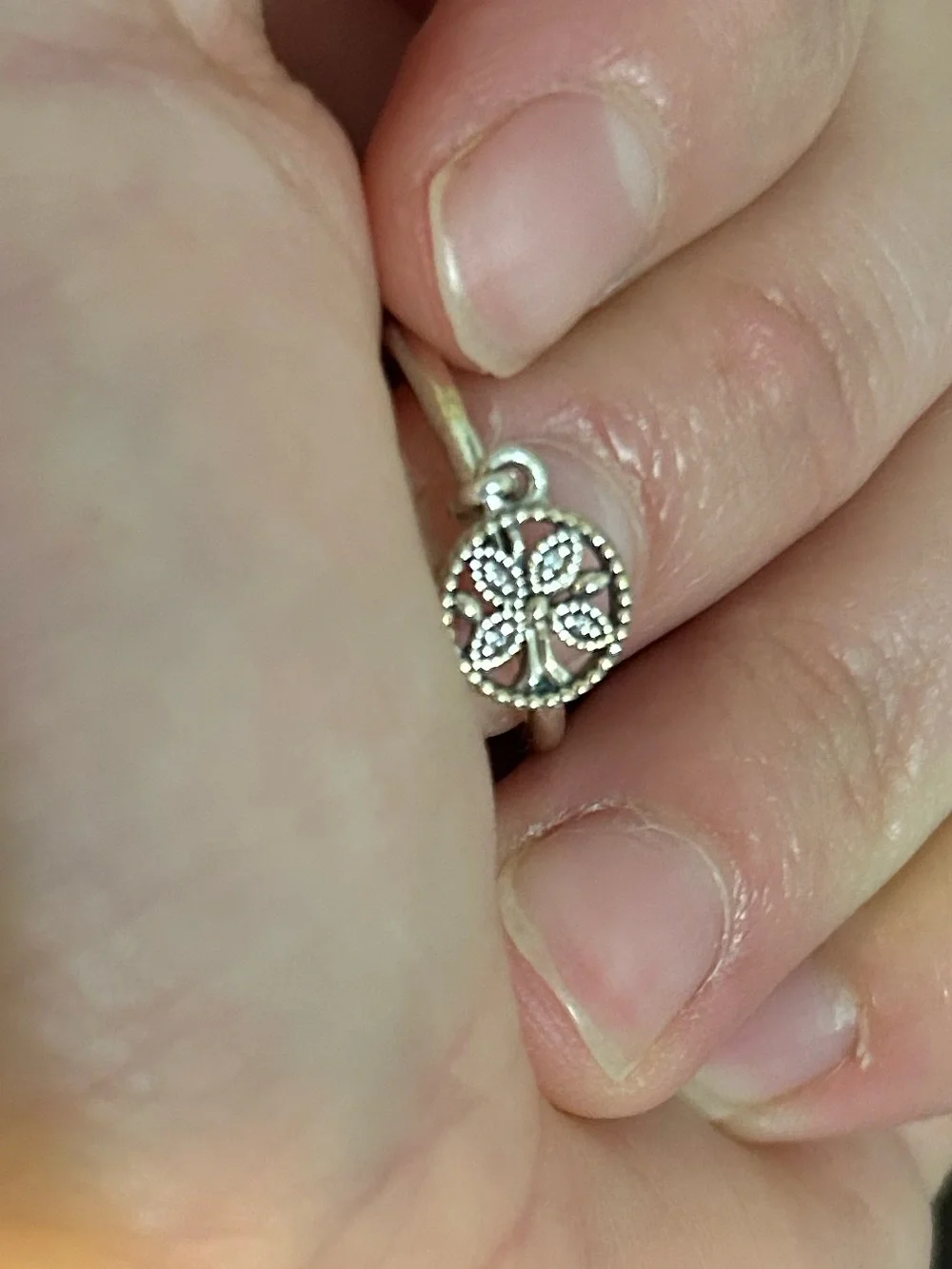 Pandora brand new