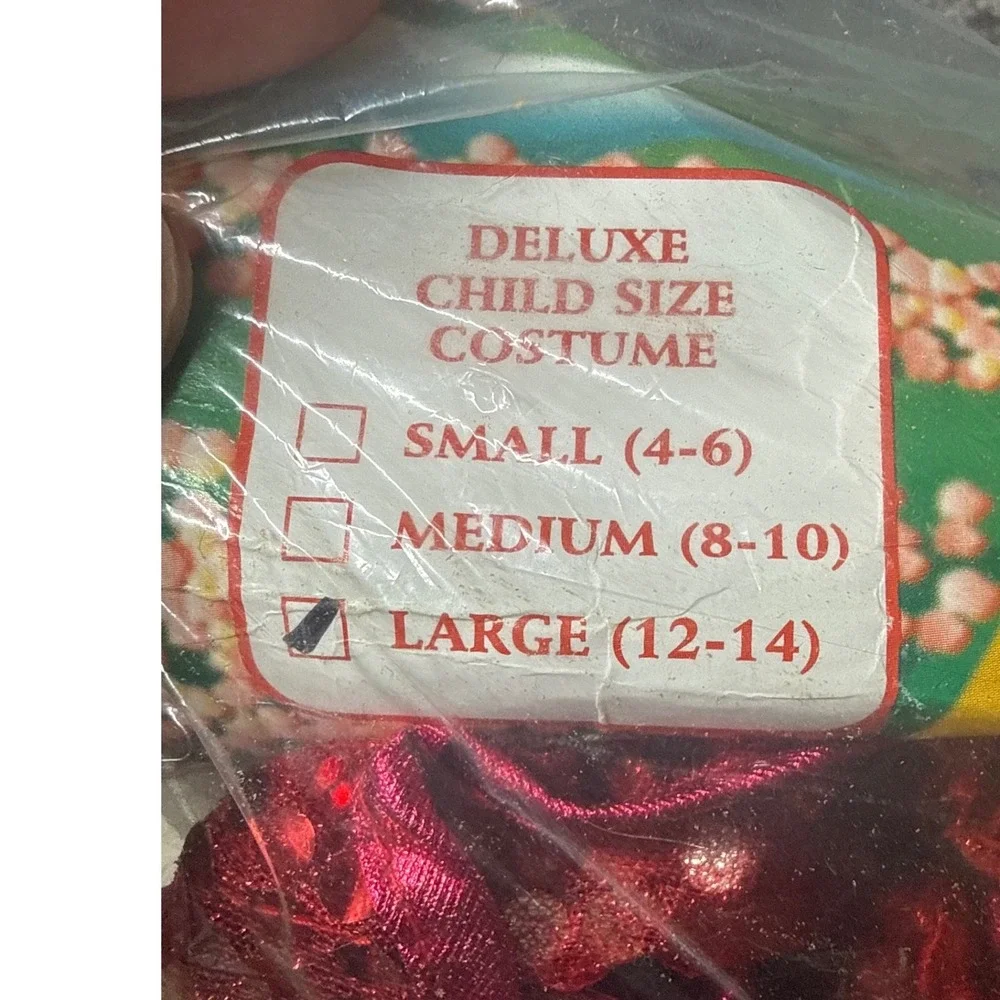 Rubies Costume Co. wizard oz