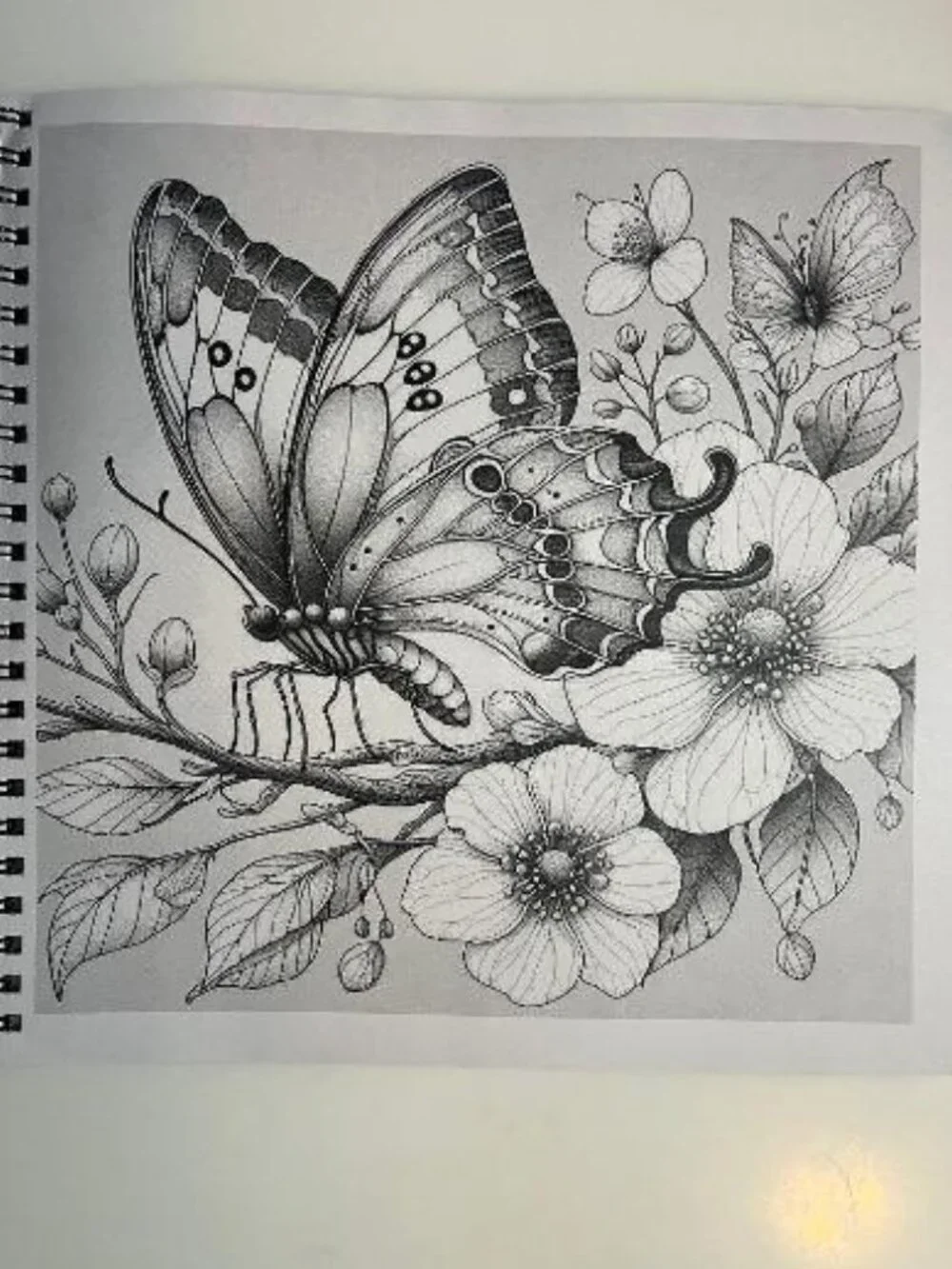 N/A adult coloring