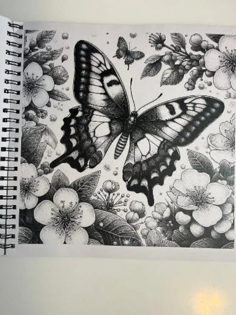N/A adult coloring