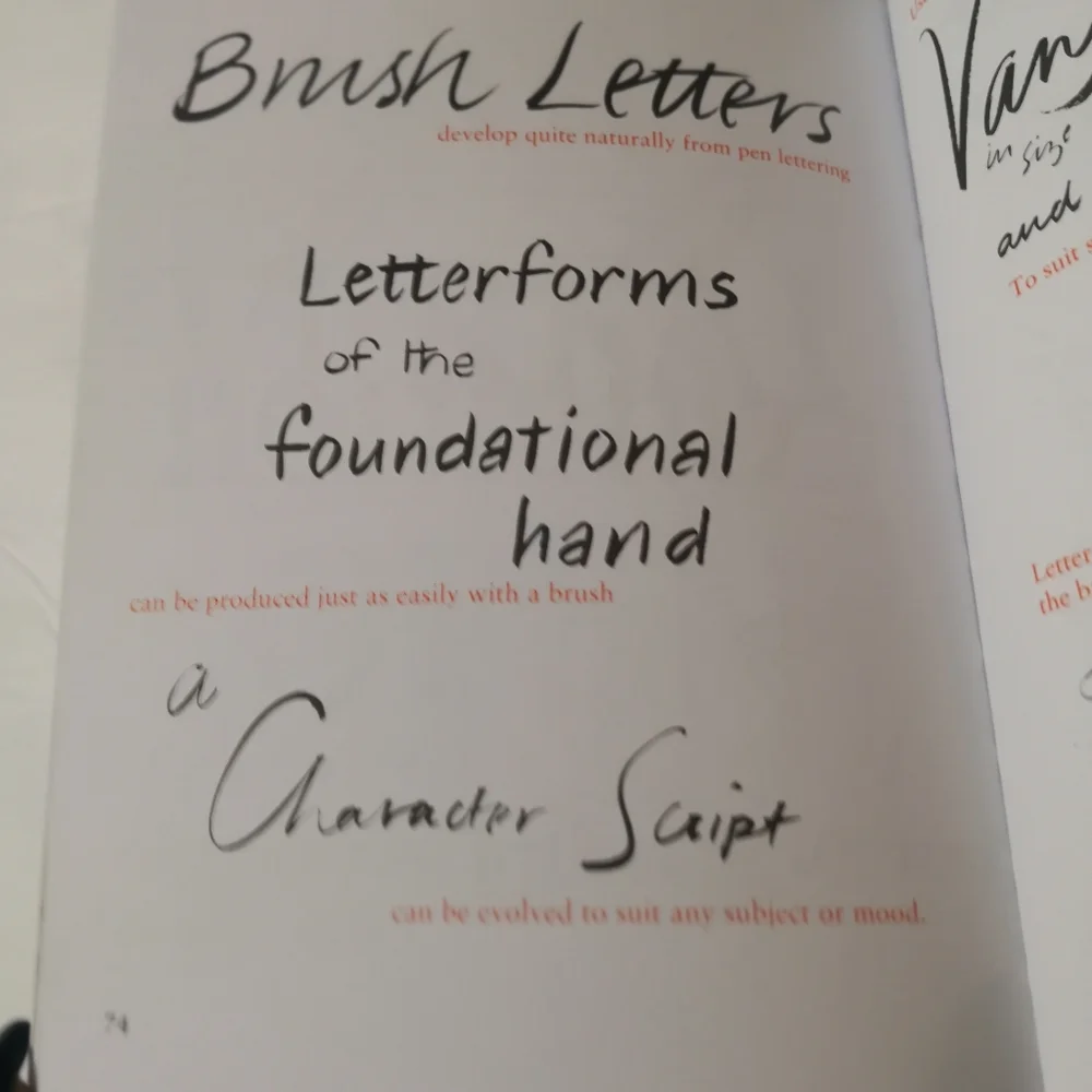 Hand Lettering filled speedball