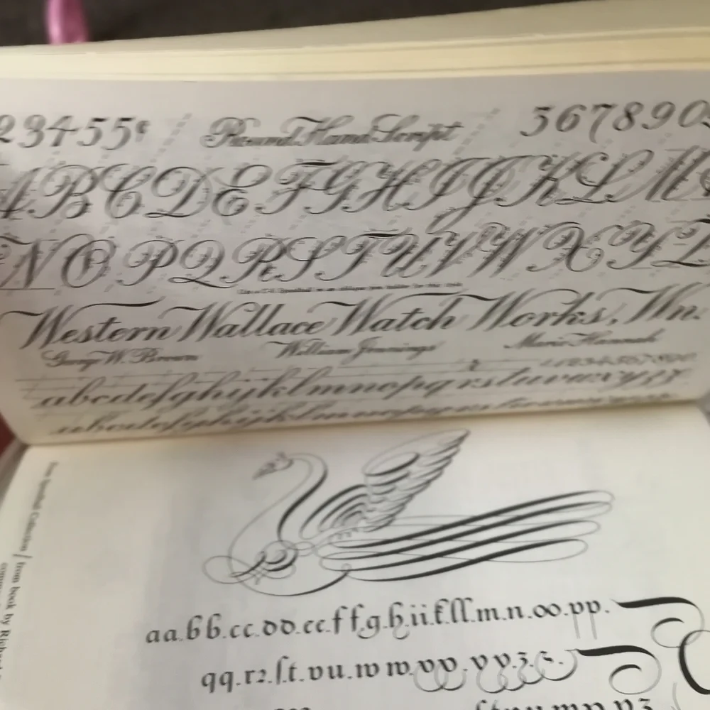 Hand Lettering textbook practical are