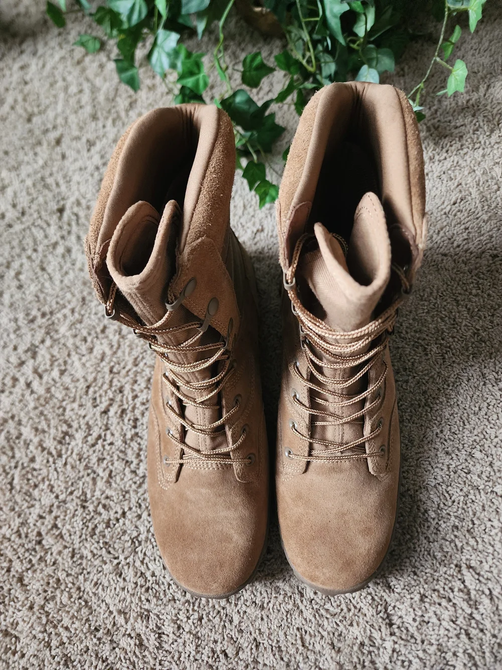 Rocky salesman lace