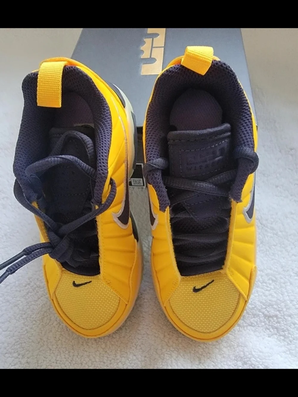 Nike new lebron
