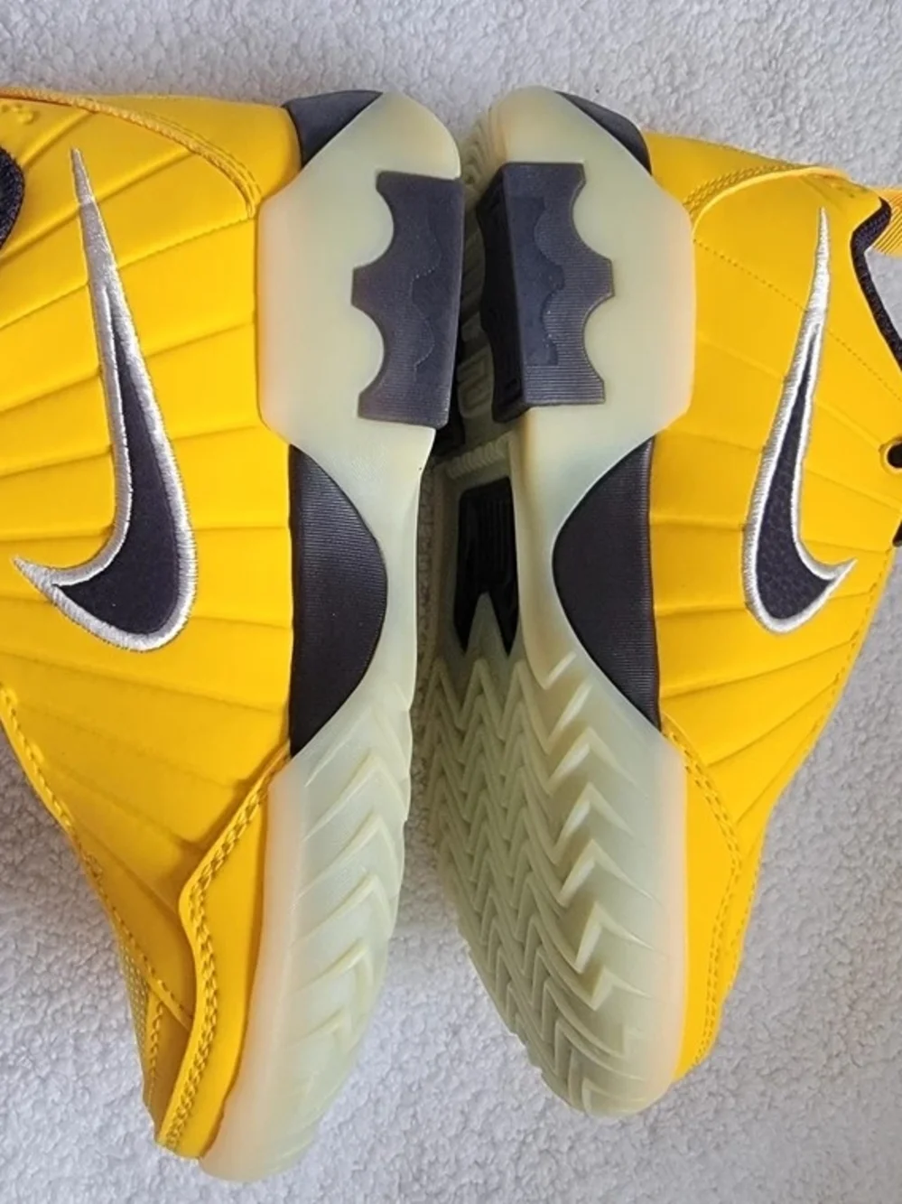 Nike new lebron