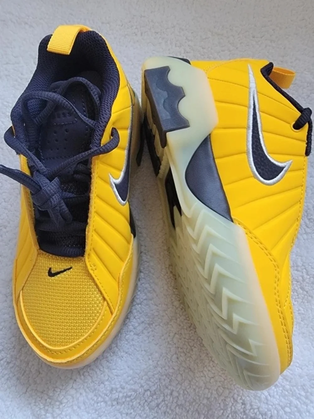 Nike new lebron
