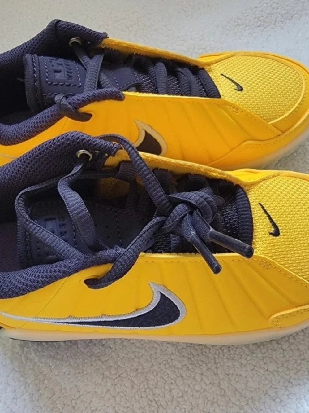 Nike new lebron