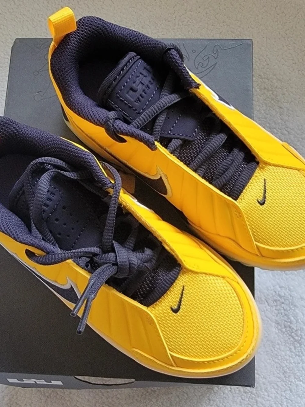 Nike new lebron