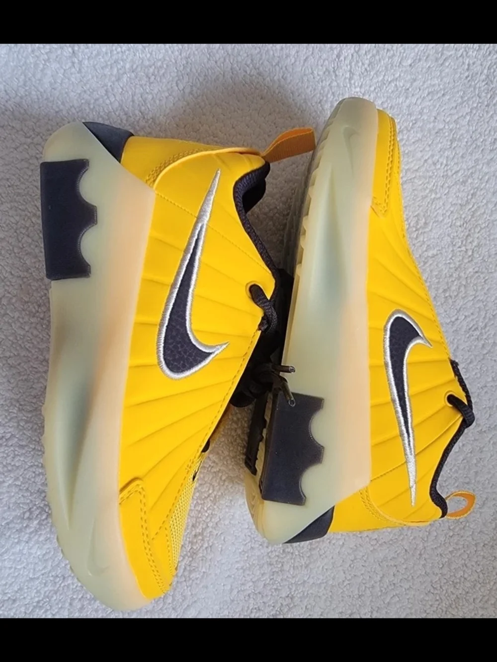 Nike new lebron