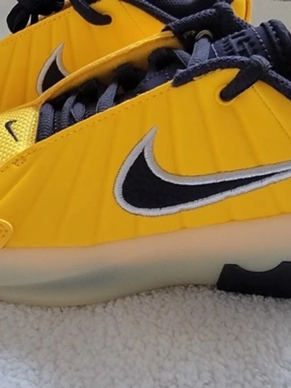 Nike new lebron