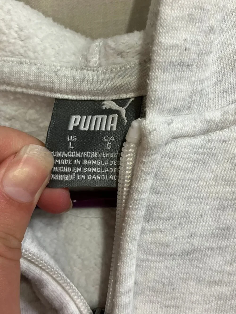 Puma color winter