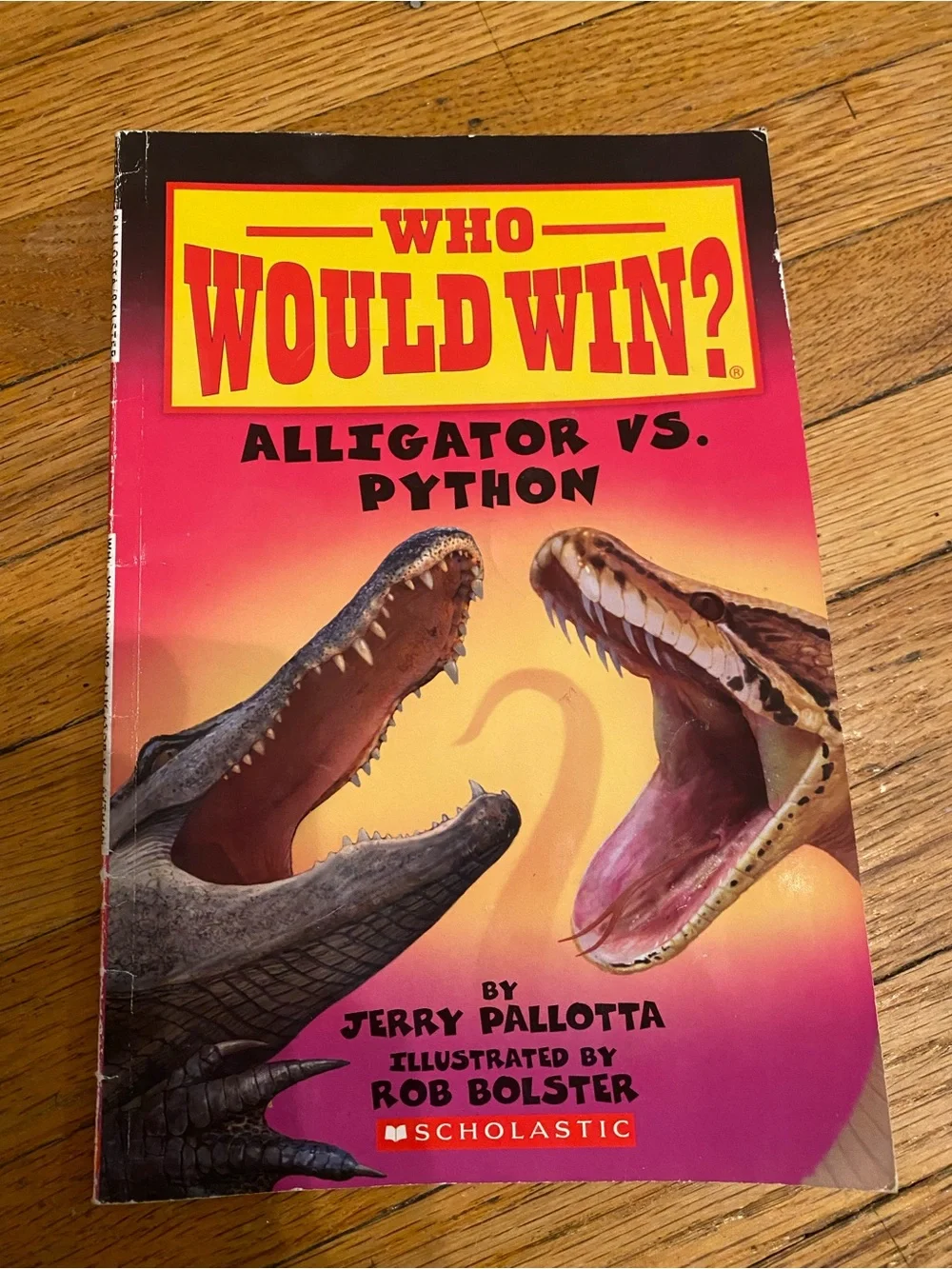 Scholastic lot kids