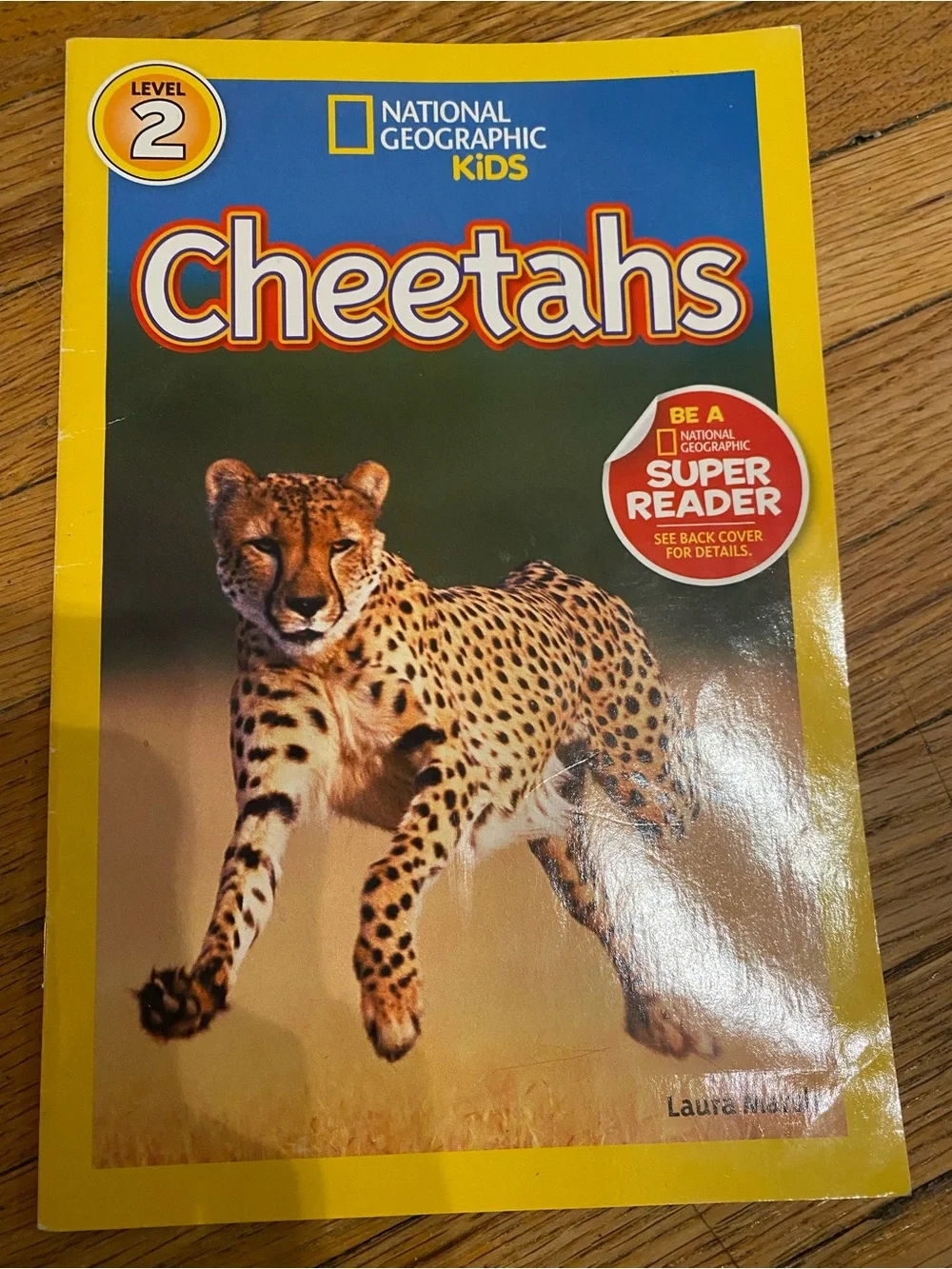 Scholastic lot kids